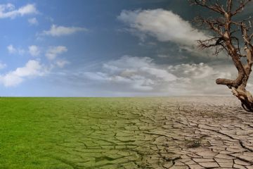 AVVISO PER LA PRESENTAZIONE DELLE SEGNALAZIONI DANNI PER SICCITA&#39; ALLE PRODUZIONI AGRICOLE